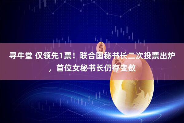 寻牛堂 仅领先1票！联合国秘书长二次投票出炉，首位女秘书长仍存变数
