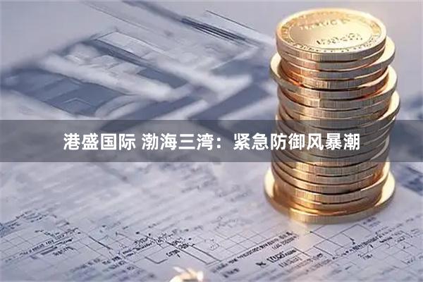 港盛国际 渤海三湾：紧急防御风暴潮